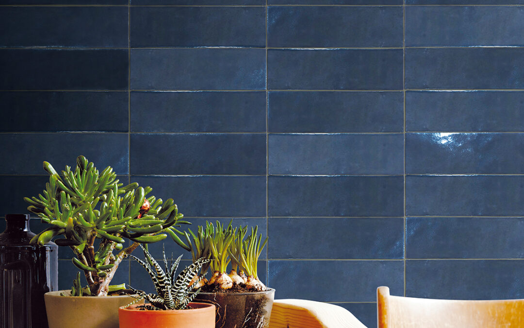 A table with plants and other items on it