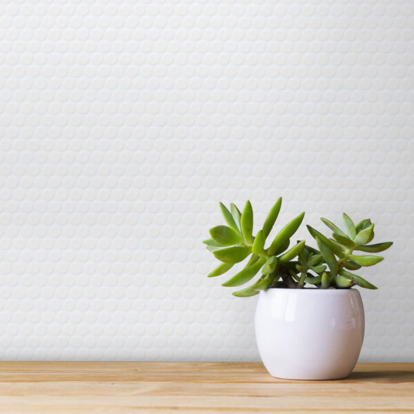 A white pot with a plant in it on top of a table.