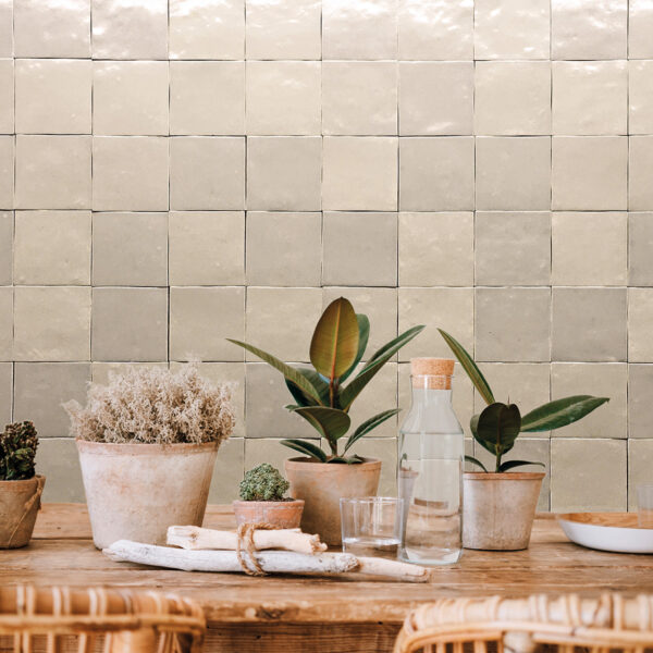 A table with plants and plates on it